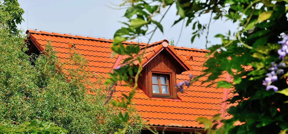 STŘEŠNÍ VIKÝŘE