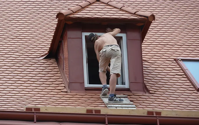 Opál na střeše Dolního zámku v Teplicích nad Metují