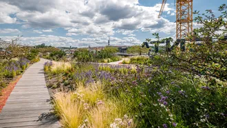Vegetační střecha Masaryčka, Praha | asfaltový pás Graviflex 5,2 Green Roof