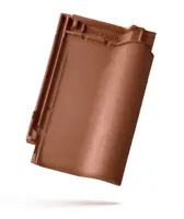 Rubín 9 režná