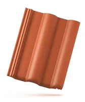Protector PLUS