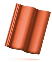 Protector PLUS
